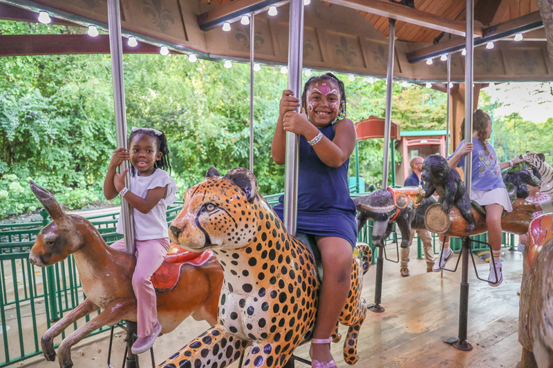 children at the zoo