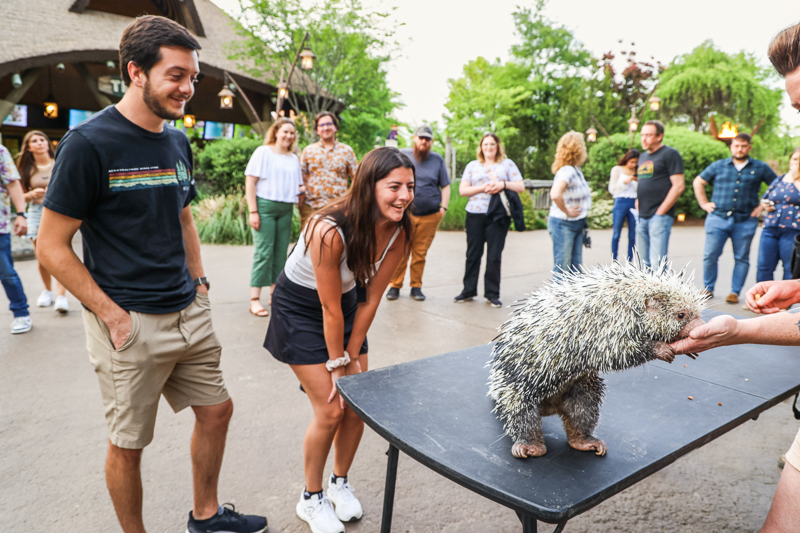 Animal Encounter